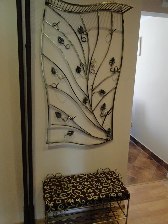 Apartament Kasprusie 65M2 زاكوباني الغرفة الصورة